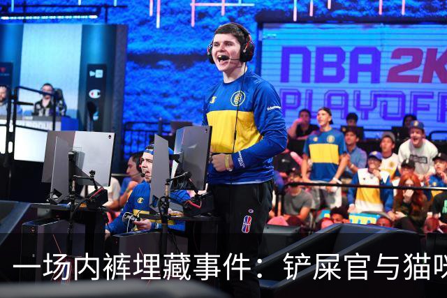 一场内裤埋藏事件：铲屎官与猫咪的幽默对决