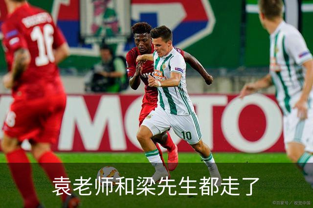 袁老师和梁先生都走了
